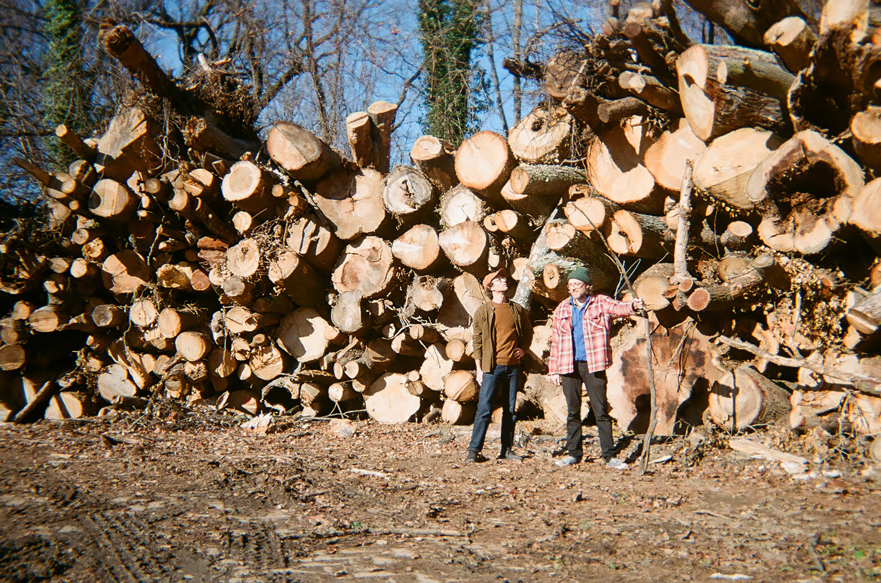 Bruce Willen and Albert Birney stand in front of a giant stack of logs of assorted sizes.